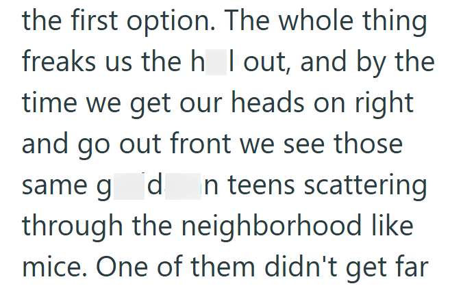 the first option. The whole thing freaks us the h I out, and by the time we get our heads on right and go out front we see those same g d In teens scattering through the neighborhood like mice. One of them didn't get far