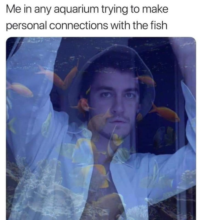 Me in any aquarium trying to make personal connections with the fish