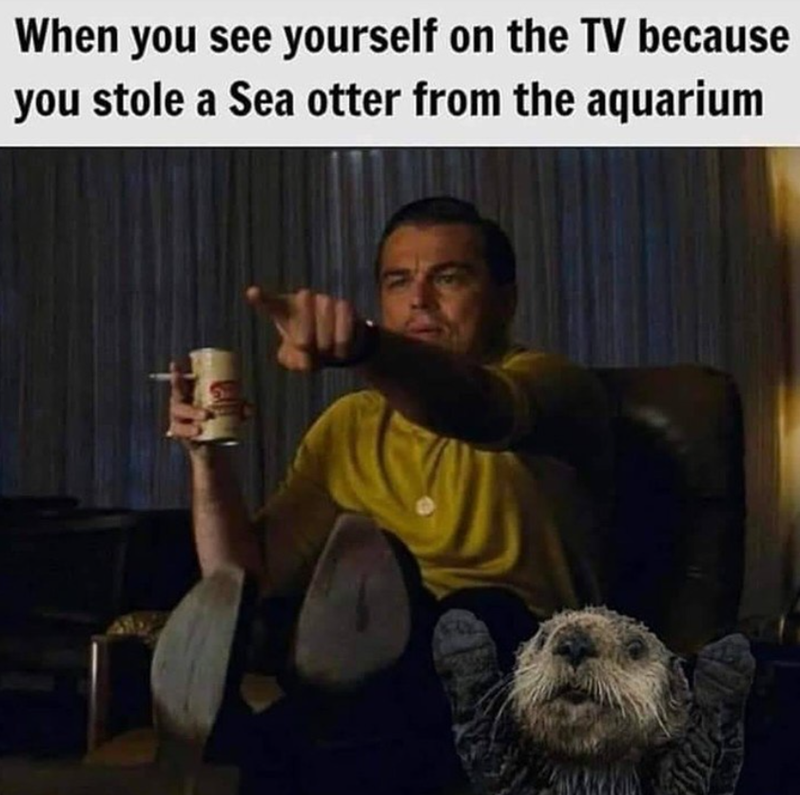 When you see yourself on the TV because you stole a Sea otter from the aquarium
