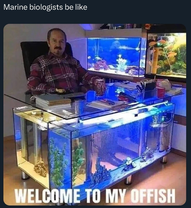 Marine biologists be like WELCOME TO MY OFFISH
