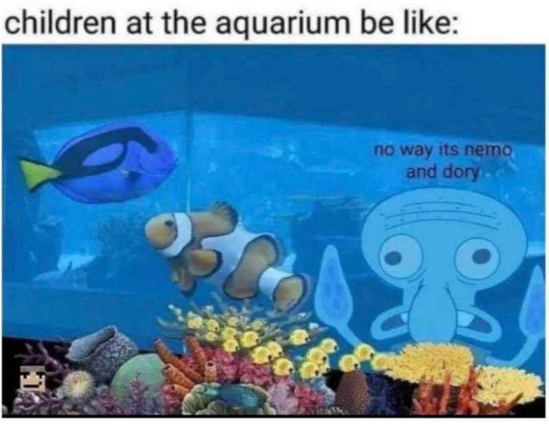 children at the aquarium be like: no way its nemo and dory.