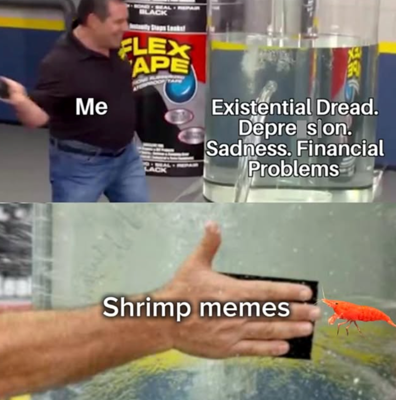 Me BOND - SEAL- BLACK FLEX APE LACK Existential Dread. Depre s on. Sadness. Financial Problems Shrimp memes