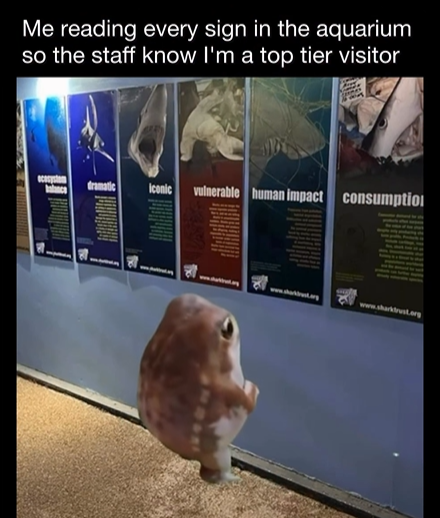 Me reading every sign in the aquarium so the staff know I'm a top tier visitor ocesystem alace Iconic vulnerable human impact consumptio www.sharkrust.org