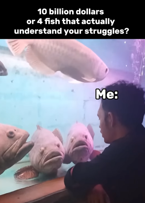10 billion dollars or 4 fish that actually understand your struggles? Me: