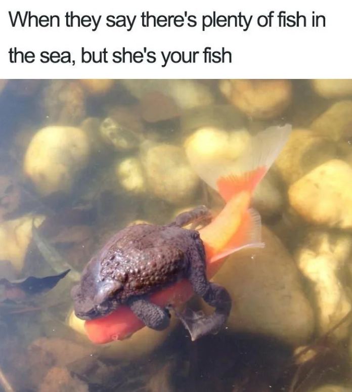 When they say there's plenty of fish in the sea, but she's your fish