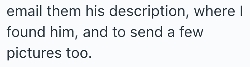 email them his description, where I found him, and to send a few pictures too.