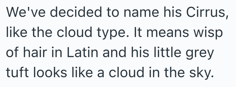 We've decided to name his Cirrus, like the cloud type. It means wisp of hair in Latin and his little grey tuft looks like a cloud in the sky.