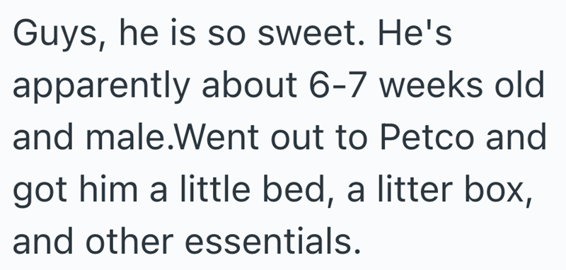 Guys, he is so sweet. He's apparently about 6-7 weeks old and male.Went out to Petco and got him a little bed, a litter box, and other essentials.