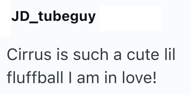 JD_tubeguy Cirrus is such a cute lil fluffball I am in love!