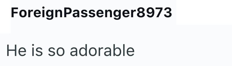 ForeignPassenger8973 He is so adorable