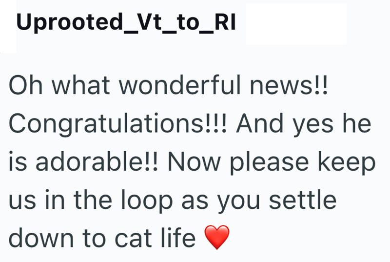 Uprooted_Vt_to_RI Oh what wonderful news!! Congratulations!!! And yes he is adorable!! Now please keep us in the loop as you settle down to cat life