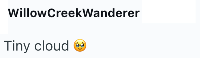 WillowCreekWanderer Tiny cloud 60