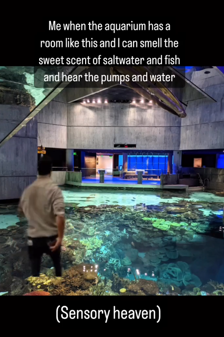 Me when the aquarium has a room like this and I can smell the sweet scent of saltwater and fish and hear the pumps and water (Sensory heaven)