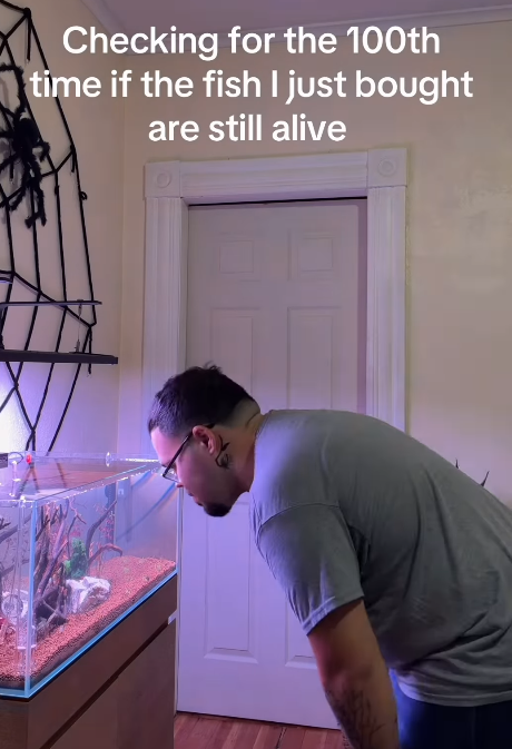 Checking for the 100th time if the fish I just bought are still alive