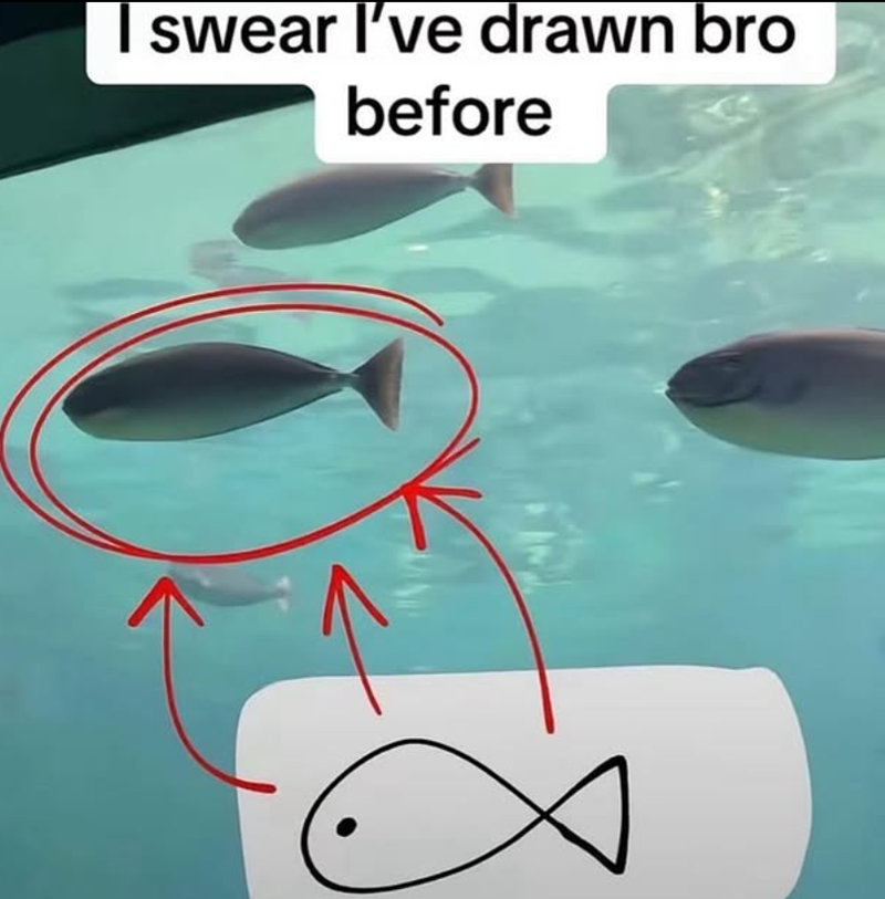 I swear I've drawn bro before