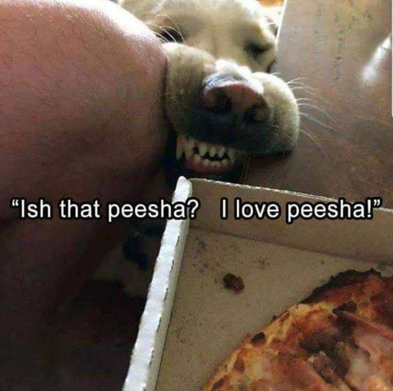 "Ish that peesha? I love peesha!"