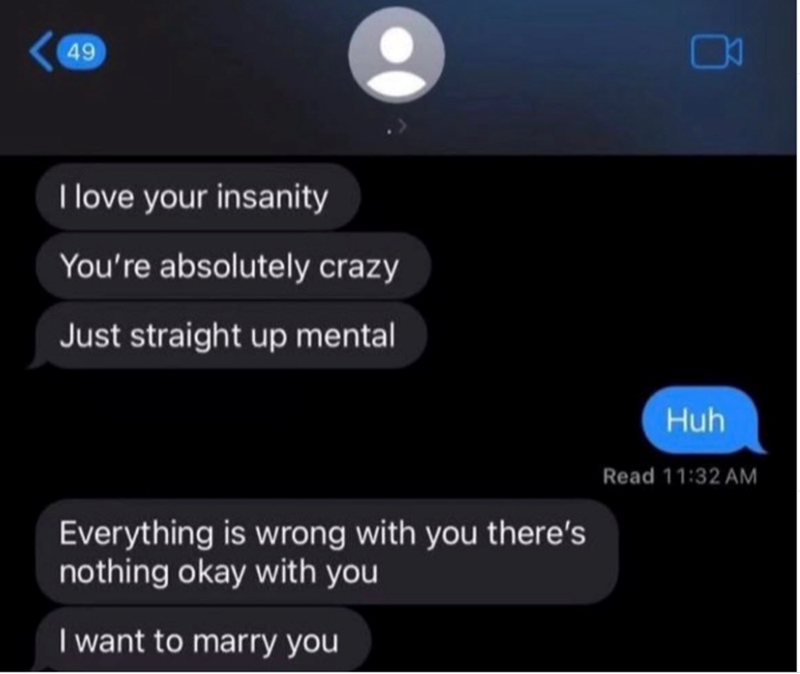 49 I love your insanity You're absolutely crazy Just straight up mental Huh Everything is wrong with you there's nothing okay with you Read 11:32 AM I want to marry you