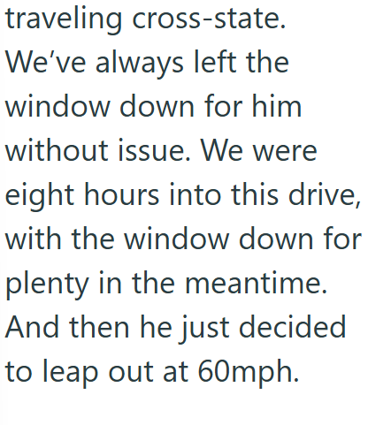 traveling cross-state. We've always left the window down for him without issue. We were eight hours into this drive, with the window down for plenty in the meantime. And then he just decided to leap out at 60mph.
