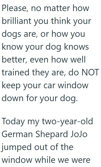 Please, no matter how brilliant you think your dogs are, or how you know your dog knows better, even how well trained they are, do NOT keep your car window down for your dog. Today my two-year-old German Shepard JoJo jumped out of the window while we were