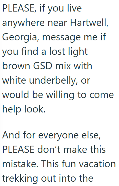 PLEASE, if you live anywhere near Hartwell, Georgia, message me if you find a lost light brown GSD mix with white underbelly, or would be willing to come help look. And for everyone else, PLEASE don't make this mistake. This fun vacation trekking out into the