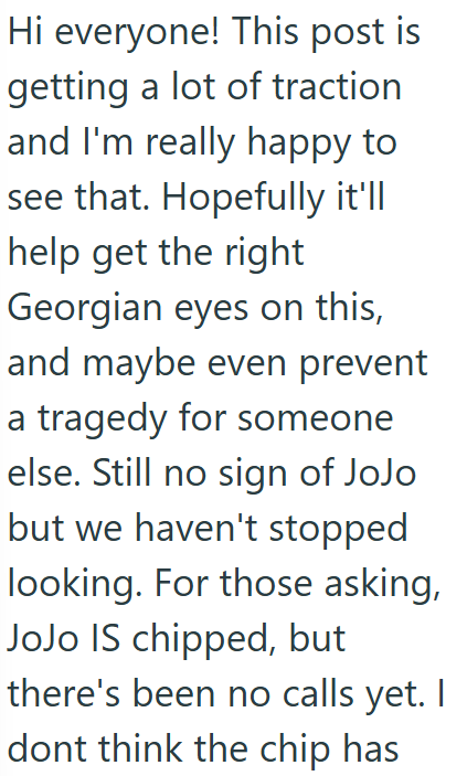 Hi everyone! This post is getting a lot of traction and I'm really happy to see that. Hopefully it'll help get the right Georgian eyes on this, and maybe even prevent a tragedy for someone else. Still no sign of JoJo but we haven't stopped looking. For those asking, JoJo IS chipped, but there's been no calls yet. I dont think the chip has