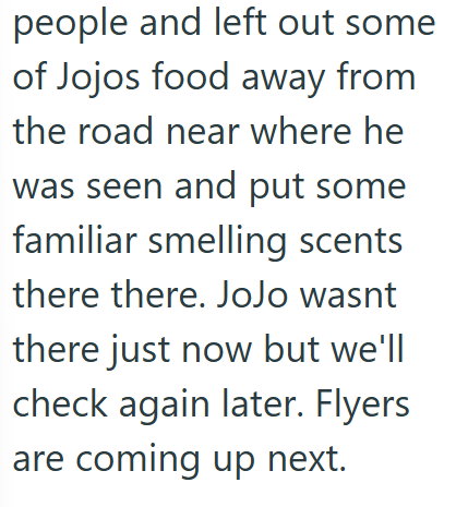 people and left out some of Jojos food away from the road near where he was seen and put some familiar smelling scents there there. JoJo wasnt there just now but we'll check again later. Flyers are coming up next.
