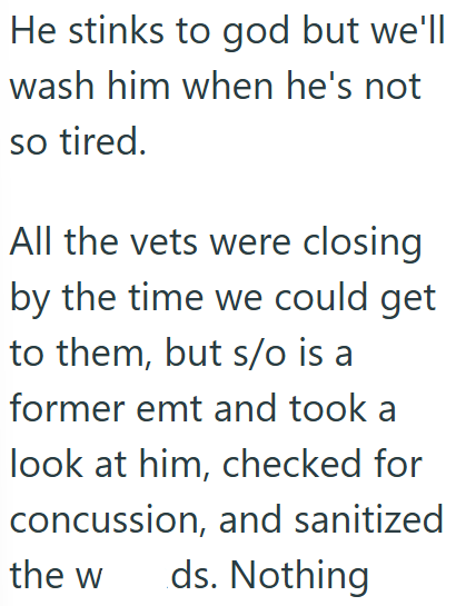 He stinks to god but we'll wash him when he's not so tired. All the vets were closing by the time we could get to them, but s/o is a former emt and took a look at him, checked for concussion, and sanitized the w ds. Nothing