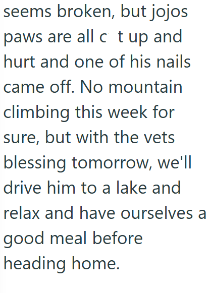 seems broken, but jojos paws are all c t up and hurt and one of his nails came off. No mountain climbing this week for sure, but with the vets blessing tomorrow, we'll drive him to a lake and relax and have ourselves a good meal before heading home.
