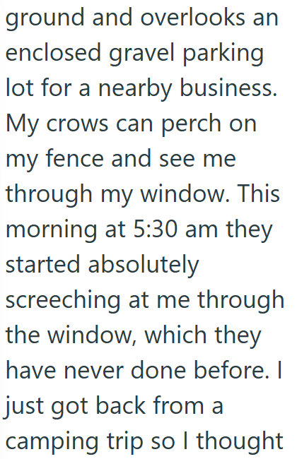 ground and overlooks an enclosed gravel parking lot for a nearby business. My crows can perch on my fence and see me through my window. This morning at 5:30 am they started absolutely screeching at me through the window, which they have never done before. I just got back from a camping trip so I thought