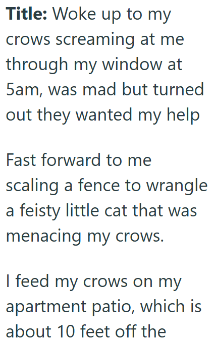 Title: Woke up to my crows screaming at me through my window at 5am, was mad but turned out they wanted my help Fast forward to me scaling a fence to wrangle a feisty little cat that was menacing my crows. I feed my crows on my apartment patio, which is about 10 feet off the