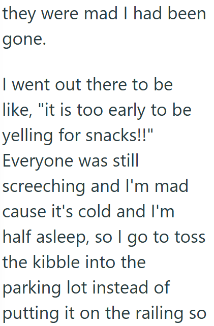 they were mad I had been gone. I went out there to be like, "it is too early to be yelling for snacks!!" Everyone was still screeching and I'm mad cause it's cold and I'm half asleep, so I go to toss the kibble into the parking lot instead of putting it on the railing so
