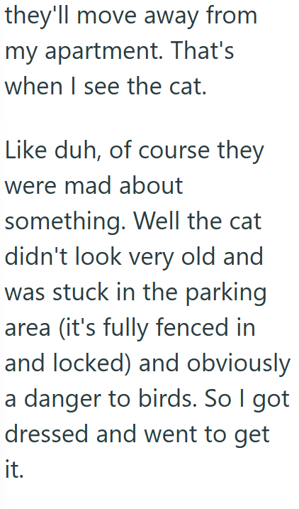 they'll move away from my apartment. That's when I see the cat. Like duh, of course they were mad about something. Well the cat didn't look very old and was stuck in the parking area (it's fully fenced in and locked) and obviously a danger to birds. So I got dressed and went to get it.