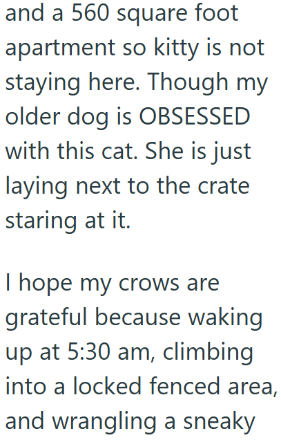 and a 560 square foot apartment so kitty is not staying here. Though my older dog is OBSESSED with this cat. She is just laying next to the crate staring at it. I hope my crows are grateful because waking up at 5:30 am, climbing into a locked fenced area, and wrangling a sneaky