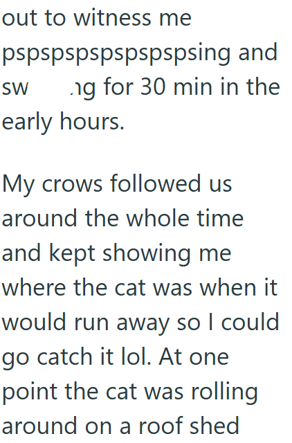 out to witness me pspspspspspspspsing and SW ng for 30 min in the early hours. My crows followed us around the whole time and kept showing me where the cat was when it would run away so I could go catch it lol. At one point the cat was rolling around on a roof shed