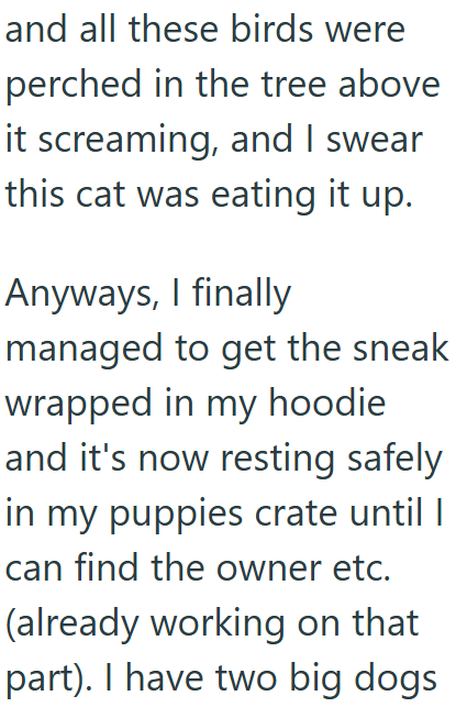 and all these birds were perched in the tree above it screaming, and I swear this cat was eating it up. Anyways, I finally managed to get the sneak wrapped in my hoodie and it's now resting safely in my puppies crate until | can find the owner etc. (already working on that part). I have two big dogs