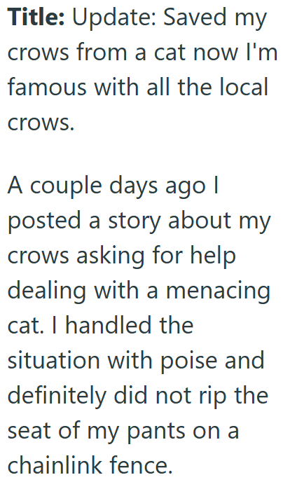 Title: Update: Saved my crows from a cat now I'm famous with all the local crows. A couple days ago I posted a story about my crows asking for help dealing with a menacing cat. I handled the situation with poise and definitely did not rip the seat of my pants on a chainlink fence.