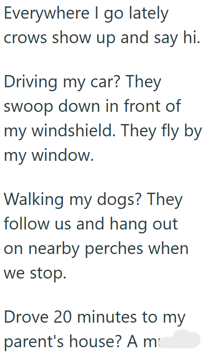 Everywhere I go lately crows show up and say hi. Driving my car? They swoop down in front of my windshield. They fly by my window. Walking my dogs? They follow us and hang out on nearby perches when we stop. Drove 20 minutes to my parent's house? A m