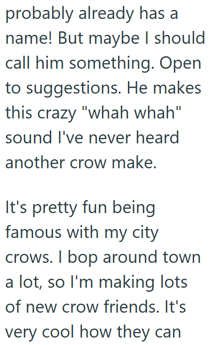 probably already has a name! But maybe I should call him something. Open to suggestions. He makes this crazy "whah whah" sound I've never heard another crow make. It's pretty fun being famous with my city crows. I bop around town a lot, so I'm making lots of new crow friends. It's very cool how they can