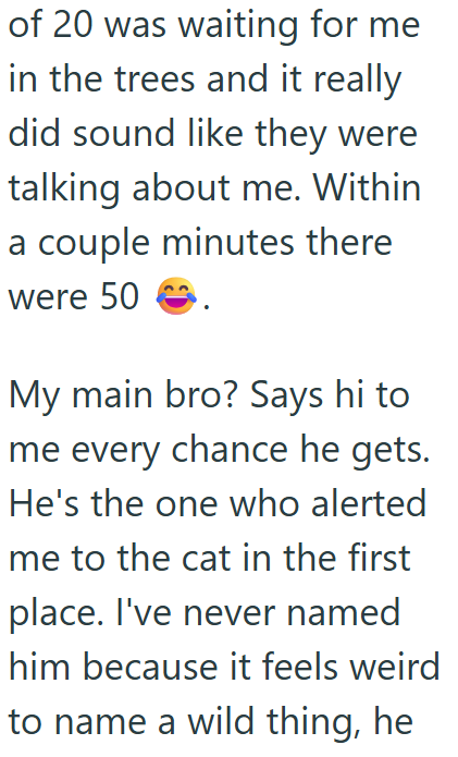 of 20 was waiting for me in the trees and it really did sound like they were talking about me. Within a couple minutes there were 50 My main bro? Says hi to me every chance he gets. He's the one who alerted me to the cat in the first place. I've never named him because it feels weird to name a wild thing, he