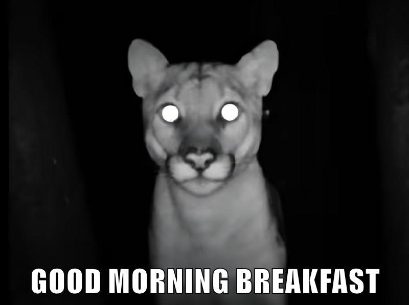 Cheezburger Image 10633541632