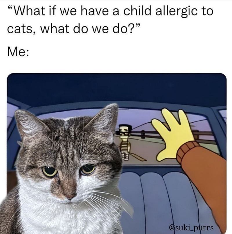 "What if we have a child allergic to cats, what do we do?" Me: @suki_purrs