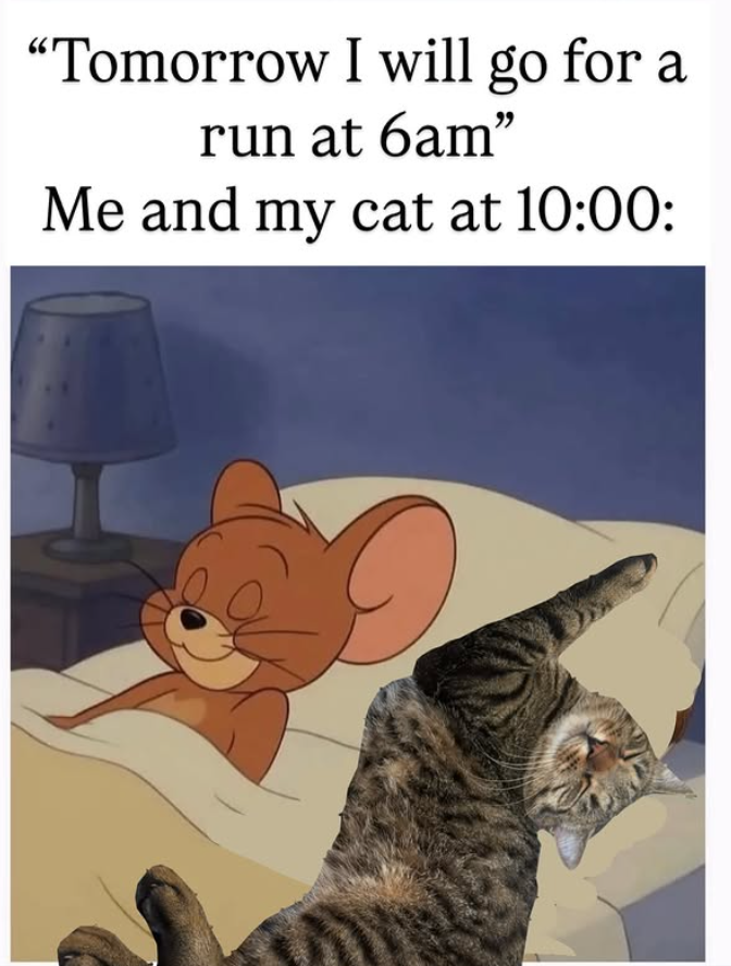 "Tomorrow I will go for a run at 6am" Me and my cat at 10:00: