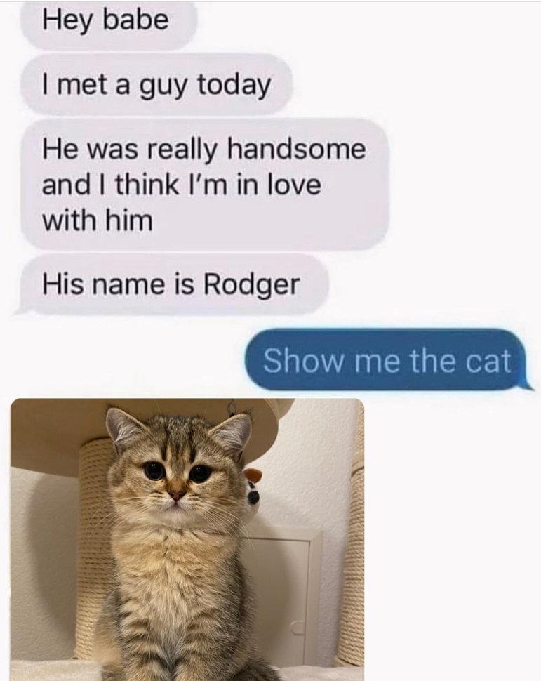 Hey babe I met a guy today He was really handsome and I think I'm in love with him His name is Rodger Show me the cat