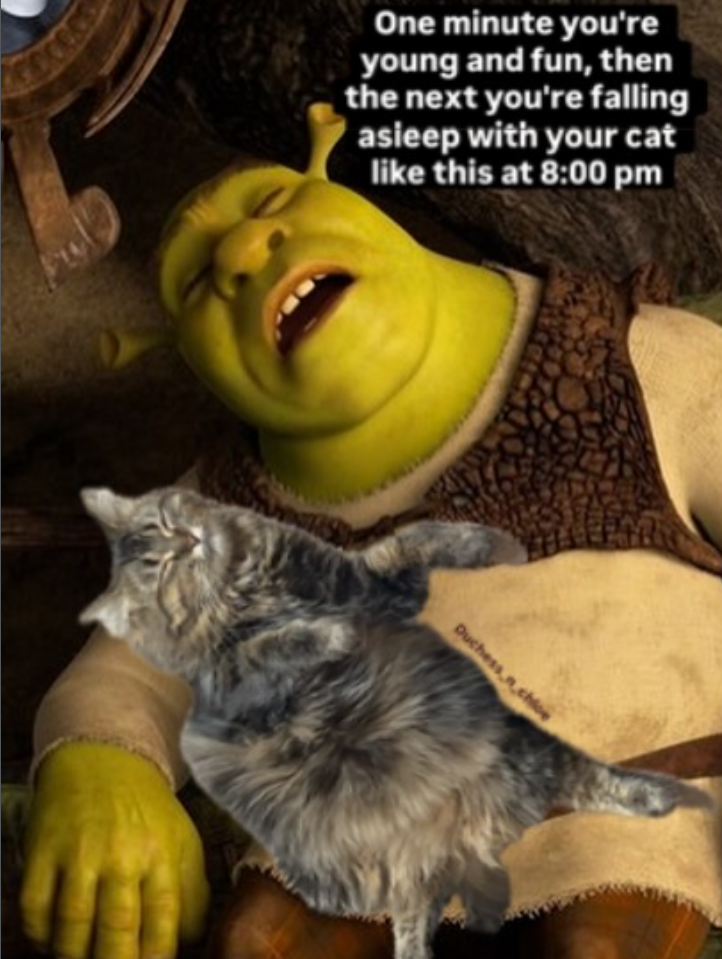 One minute you're young and fun, then the next you're falling asleep with your cat like this at 8:00 pm Duchess
