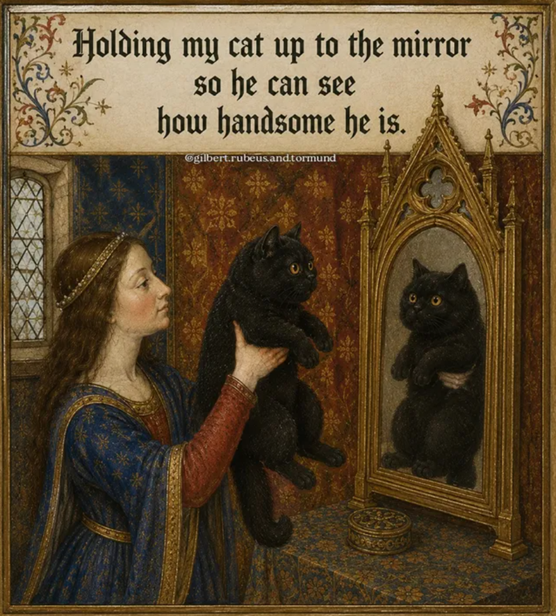 Holding my cat up to the mirror so he can see how handsome he is. @gilbert.rubeus.and.tormund