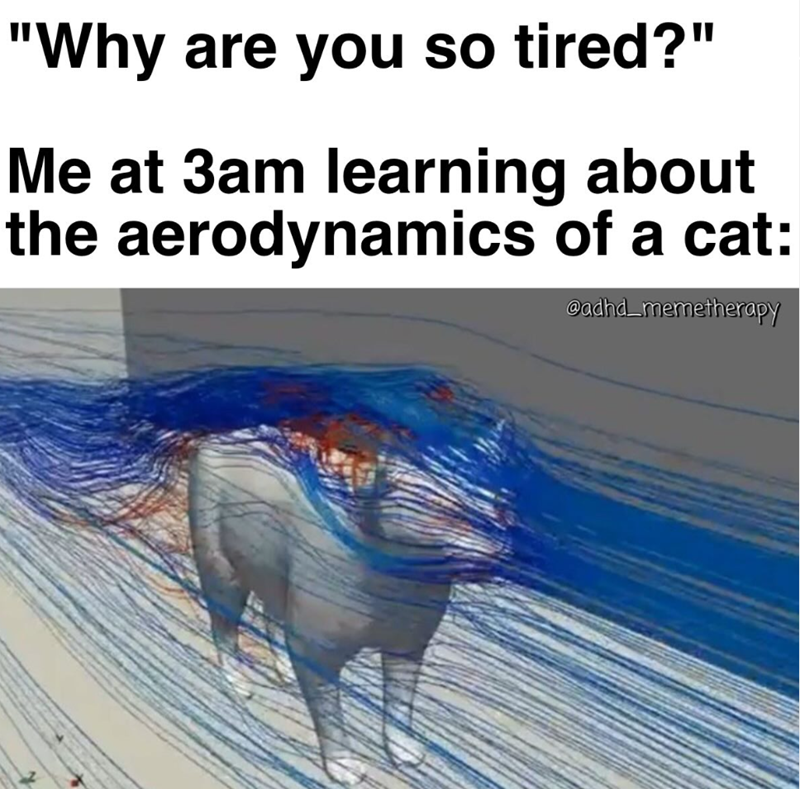 "Why are you so tired?" Me at 3am learning about the aerodynamics of a cat: @adhd_memetherapy