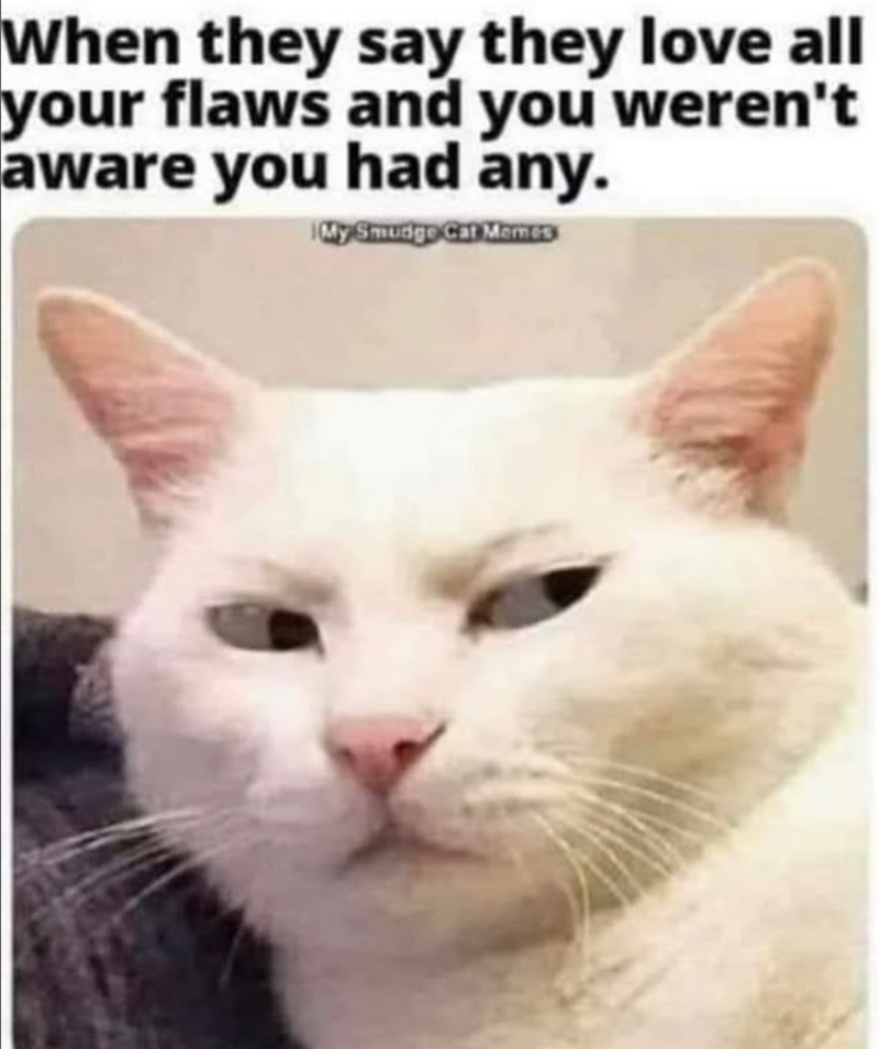 When they say they love all your flaws and you weren't aware you had any. My Smudge Cat Memes