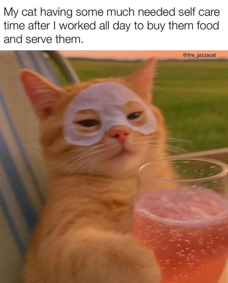 My cat having some much needed self care time after I worked all day to buy them food and serve them. @the_pizzacat