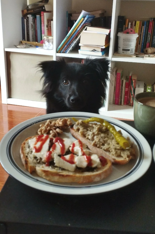 Cheezburger Image 10633550848