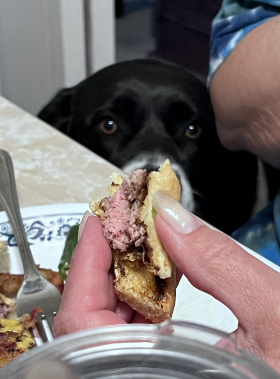 Cheezburger Image 10633551872